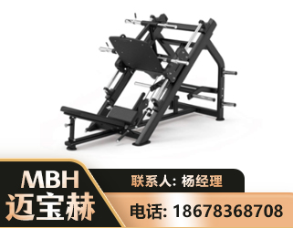 长沙45°倒蹬训练器